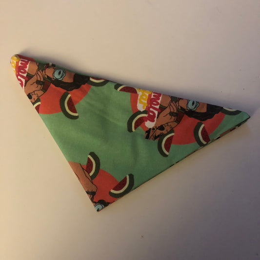 Watermelon Sugar Bandana